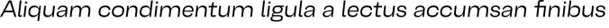 Belfast Grotesk Font Preview