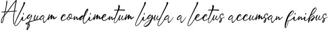 Vendetta Signature Font Preview