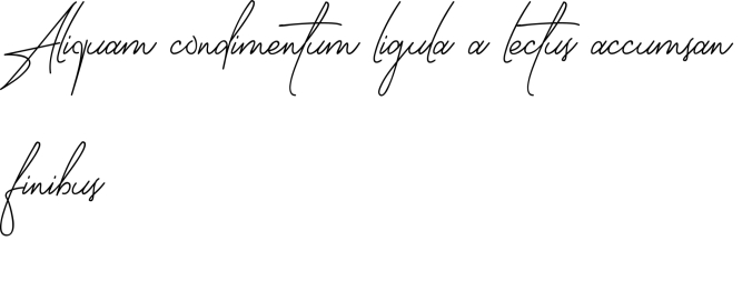 Bendungan Signature Font Preview