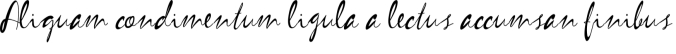 Love Boy Font Preview