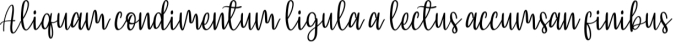 Bellasia Hawainis Font Preview