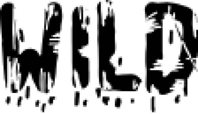 WILD Font Preview