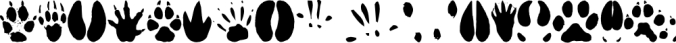 Animal Tracks Font Preview