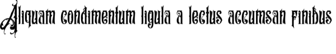 Shampoerna Betoel Font Preview