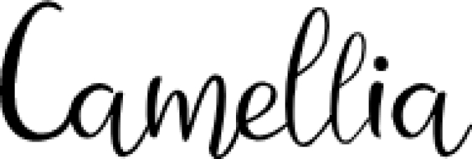 Camellia Font Preview