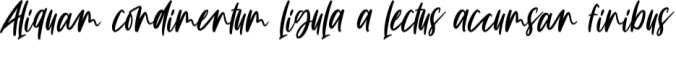 Ortizan Waves Font Preview