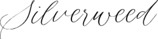 Silverweed Font Preview