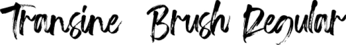 Transine Brush Font Preview