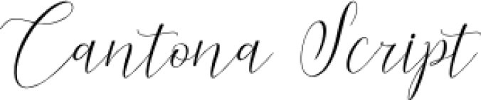 Cantona Scrip Font Preview