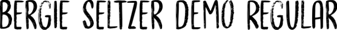 Bergie Seltzer Font Preview