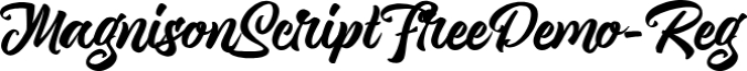 Magnison Scrip Font Preview