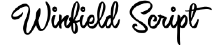 Winfield Scrip Font Preview