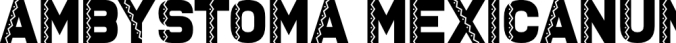 Ambystoma Mexicanum Font Preview