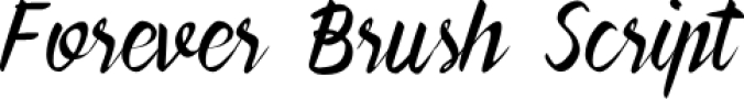 Forever Brush Scrip Font Preview