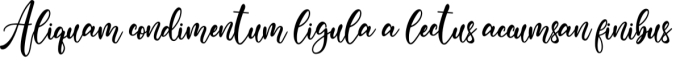 Gragina Font Preview
