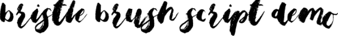 Bristle Brush Scrip Font Preview