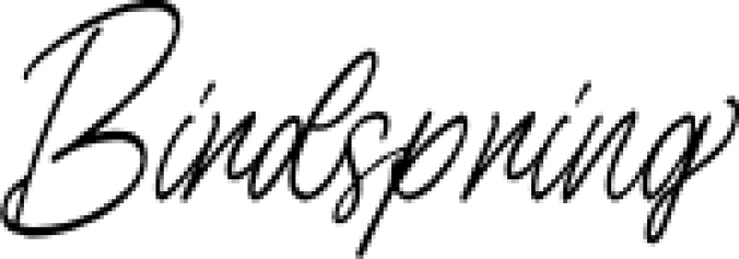 Birdspring Signature Font Preview