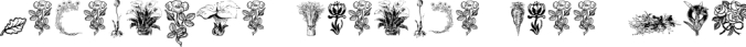 Vegetable Breathe Free Tw Font Preview