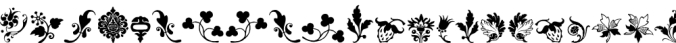 Rough Fleurons Free Font Preview