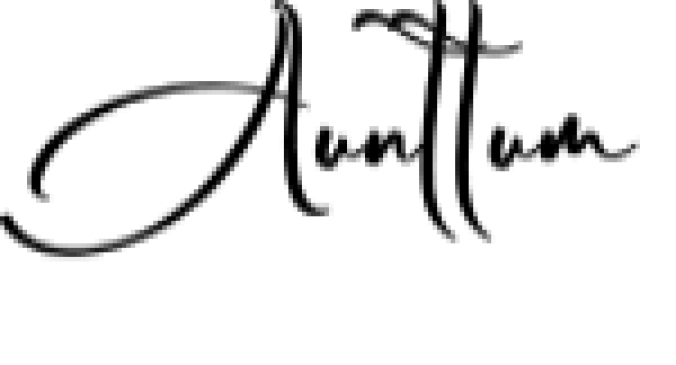Aunttum Font Preview