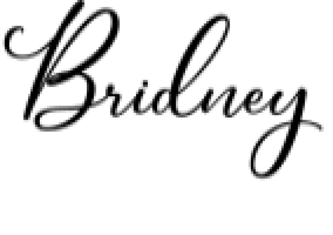 Bridney Signature Font Preview