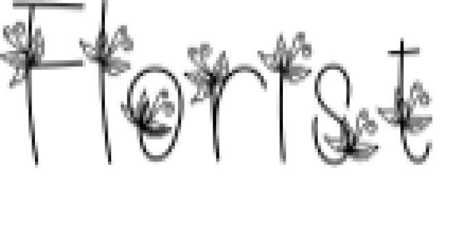 Florist Font Preview
