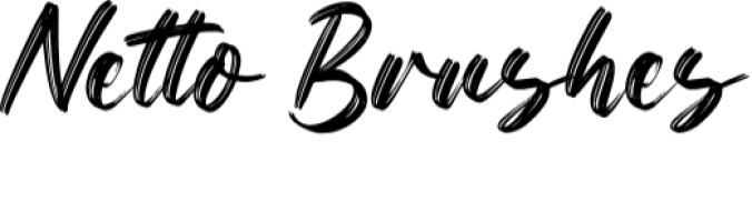 Netto Brushes Font Preview