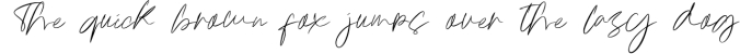 WEB Font Preview