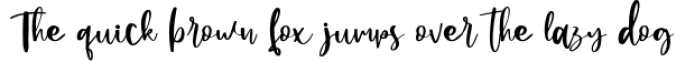 Farmhouse Shunsine a Beauty Handwritten Script Font Preview
