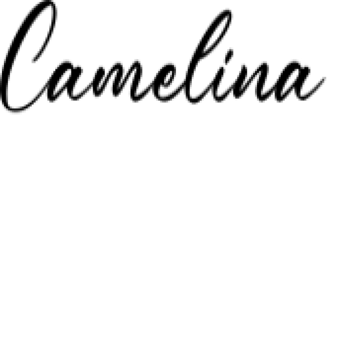 Camelina  Font Preview
