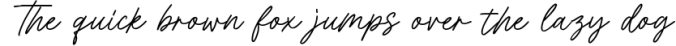 Ricardo Montero Handwritten Script Font Preview