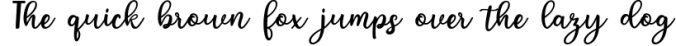 MINI BUNTDLE Font Preview