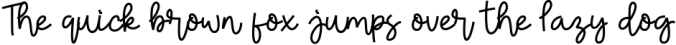 Chewy Pudding Fun Handwritten Script Font Preview