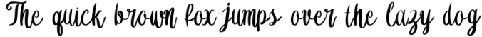 Boardsky Monoline Signature Font Font Preview