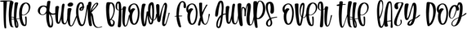 Bohemian Wedding- An informal handwritten Font Preview