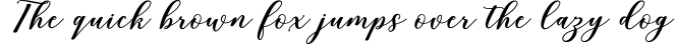 Rixiline Script Font Preview