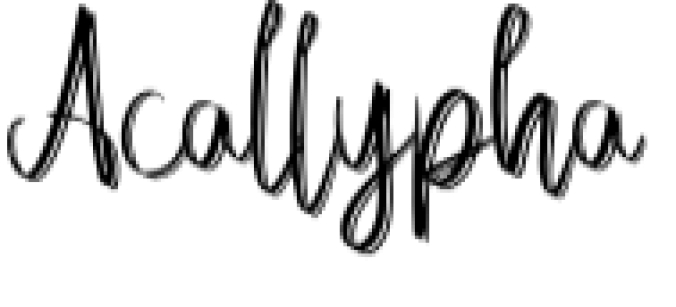 Acallypha Font Preview