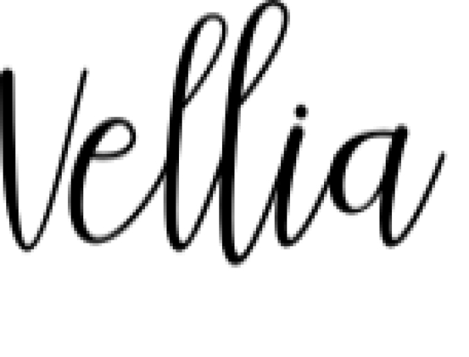 Vellia Font Preview