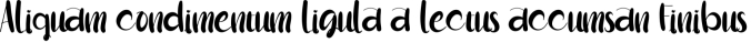 Weekly Planning Font Preview