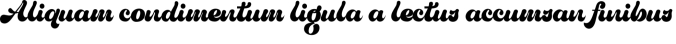 True Retrotype Font Preview