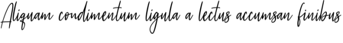Castella Script Font Preview