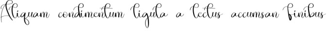 The Shocking Font Preview