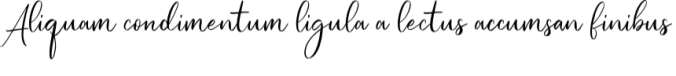 Jullysinty Font Preview