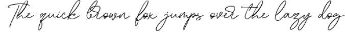 Rusticforms Signature Script Font Preview