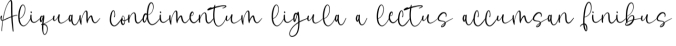 Last Night Font Preview
