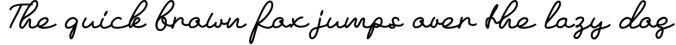 Regulation Signature Font Preview
