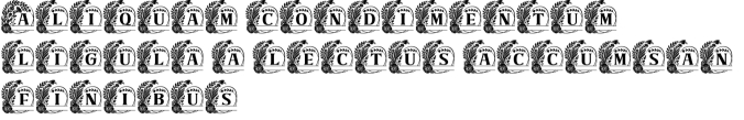 Chuline Font Preview