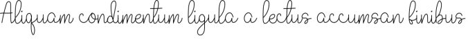 Perfect Signature Font Preview