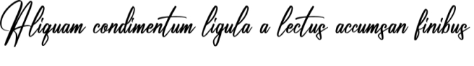 Renatta Signature Font Preview