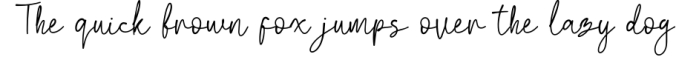 Biegen Stinger Font Preview